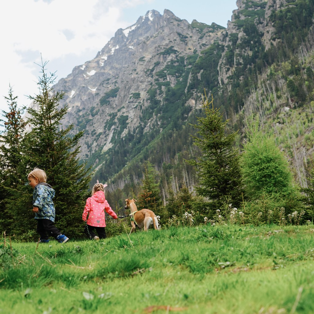 Výlet na hrôzostrašné&nbsp;Slovensko