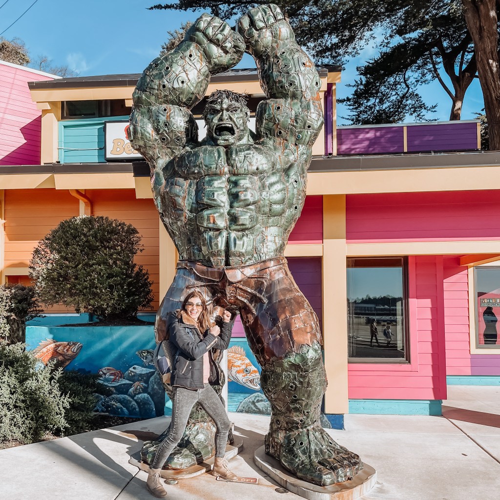 Haló, haló, tady&nbsp;Šebestová